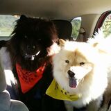 Entry image for Bear & Reese