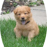 Entry image for Miss Emme Lu Who (as a baby)
