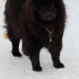 Entry image for Sasha