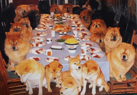Entry image for Rio Thanksgiving. Clicking this image will show a larger photo