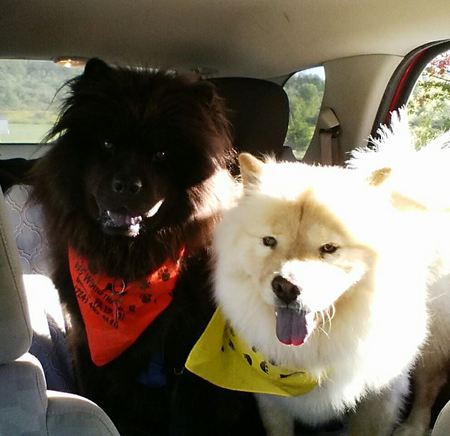 Entry image for Bear & Reese. Clicking this image will show a larger photo