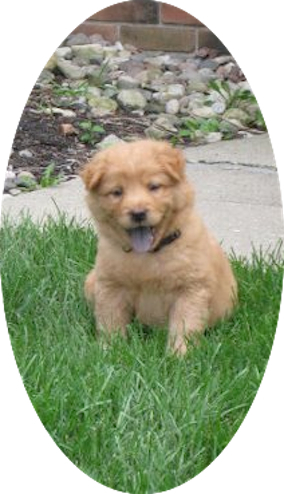 Entry image for Miss Emme Lu Who (as a baby). Clicking this image will show a larger photo