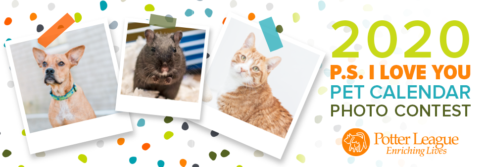 Banner for P.S. I Love You Pet Calendar Photo Contest