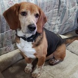 Entry image for Ernie