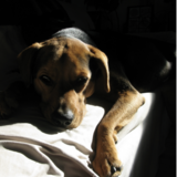 Entry image for Winsome