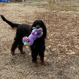 Entry image for Runway