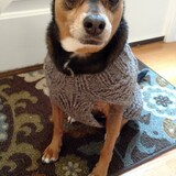 Entry image for Spencer