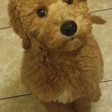 Entry image for Elvis