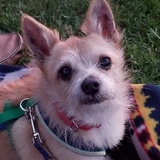 Entry image for Roscoe