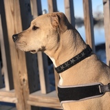 Entry image for Zoey