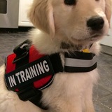 Entry image for Rory 