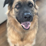 Entry image for Carli