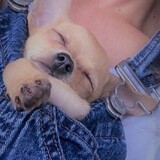 Entry image for Rita