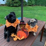 Entry image for Winston & Daisy