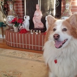 Entry image for Suki