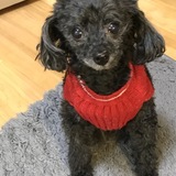 Entry image for Lola Mae