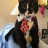 Entry image for Kirby