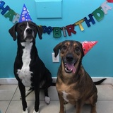 Entry image for Bentley and Tucker 