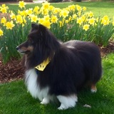 Entry image for Rory