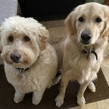 Entry image for Ellie and Georgia