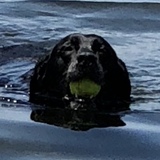 Entry image for Becca