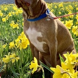 Entry image for Porter