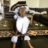 Entry image for Daisy 