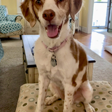 Entry image for Sidney Crosby