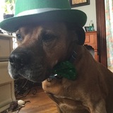 Entry image for Jake