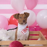 Entry image for Finn