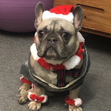 Entry image for Ozzy Ozbone