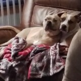 Entry image for Diamond & Thomas