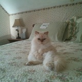 Entry image for Konrad