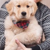 Entry image for Thor