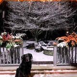 Entry image for Marty 