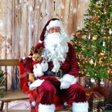 Entry image for Ziggy