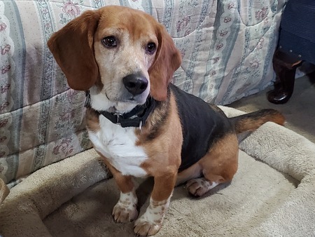 Entry image for Ernie. Clicking this image will show a larger photo