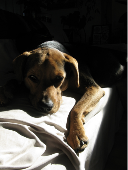 Entry image for Winsome. Clicking this image will show a larger photo