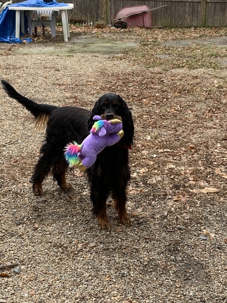 Entry image for Runway. Clicking this image will show a larger photo