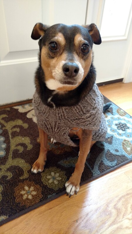 Entry image for Spencer. Clicking this image will show a larger photo