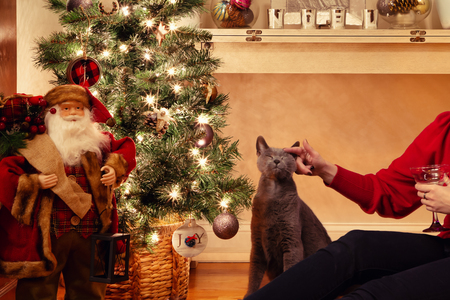 Entry image for Toby. Clicking this image will show a larger photo