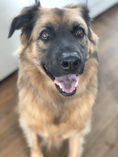 Entry image for Carli. Clicking this image will show a larger photo