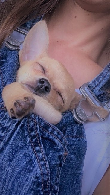 Entry image for Rita. Clicking this image will show a larger photo