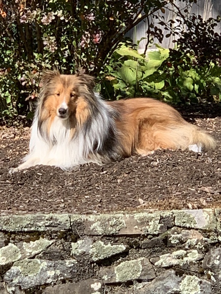 Entry image for Hollee. Clicking this image will show a larger photo