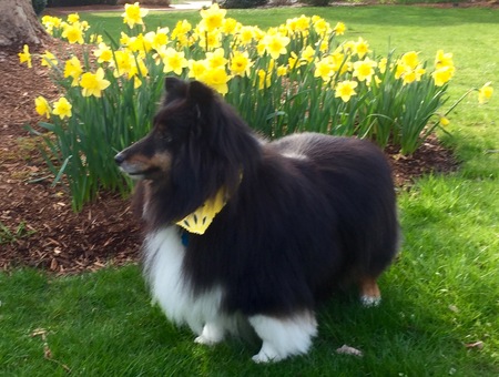 Entry image for Rory. Clicking this image will show a larger photo