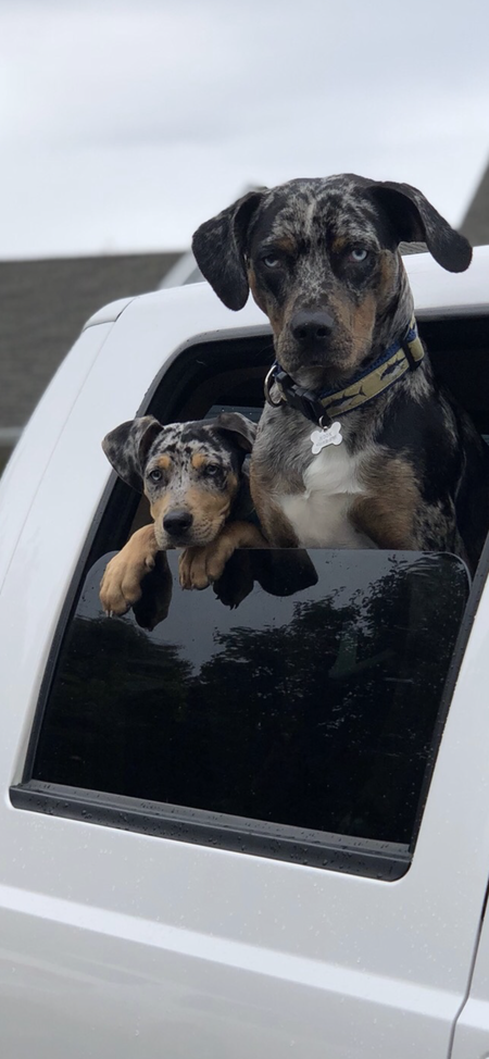 Entry image for Coral/Hook. Clicking this image will show a larger photo