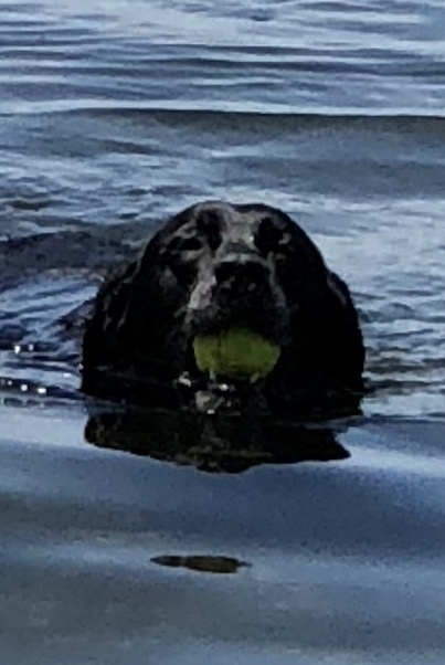 Entry image for Becca. Clicking this image will show a larger photo