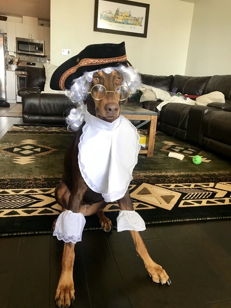 Entry image for Daisy . Clicking this image will show a larger photo