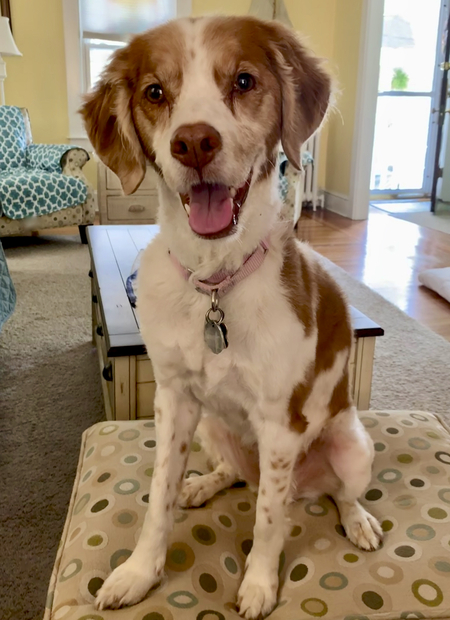 Entry image for Sidney Crosby. Clicking this image will show a larger photo