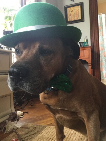 Entry image for Jake. Clicking this image will show a larger photo